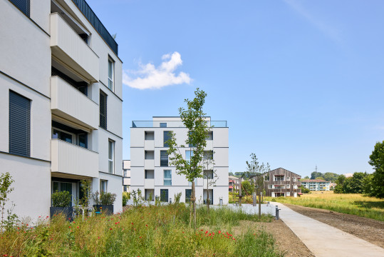 image Route de Genève 5 C